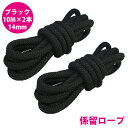 16打 14mm 10m 2本セット 計20m 係留ロープ フェンダーロープ ダブルブレイド 黒/ブラック マリン ロープ 船 係船 14ミリ