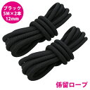 24打 12mm 5m 2本セット 計10m 係留ロープ フェンダーロープ ダブルブレイド 黒/ブラック マリン ロープ 船 係船 12ミリ