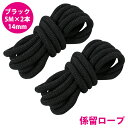 24打 14mm 5m 2本セット 計10m 係留ロープ フェンダーロープ ダブルブレイド 黒/ブラック マリン ロープ 船 係船 14ミリ