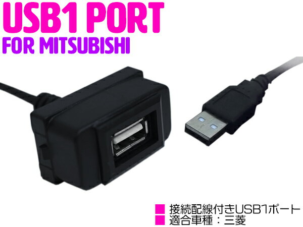 USBポート 配線付き スイッチホール USBスイッチ 三菱 アイシス HA1W グランディス NA4W デリカD:5 D5 CV1/2/5 LED/ブルー 【後付けスイッチ USB増設 スマートフォン スマホ iPhone Android タブレット 充電 スイッチパネル 車 カー用品 内装用品】