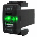 ニッサンA エルグランド E51 LED/グリーン 新設USB Type-C タイプC ポート 充電 QC3.0 12V パネル スイッチホールカバー