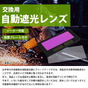 the-apex:10470595のサンプル画像2