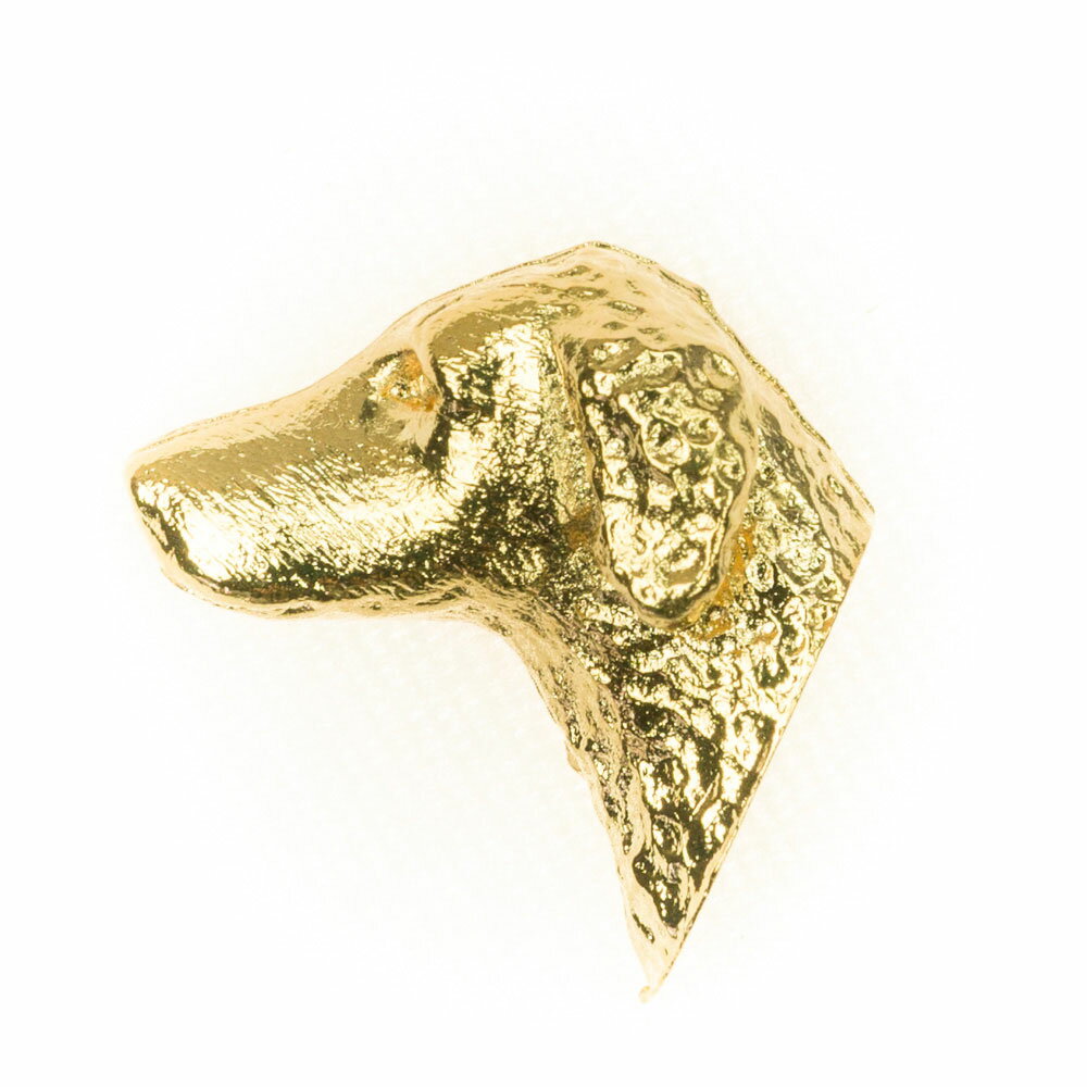 【※要 発送期間 約1〜3ヶ月】 カーリーコーテッドレトリバー イギリス製 22ctゴールドメッキ アート ド..