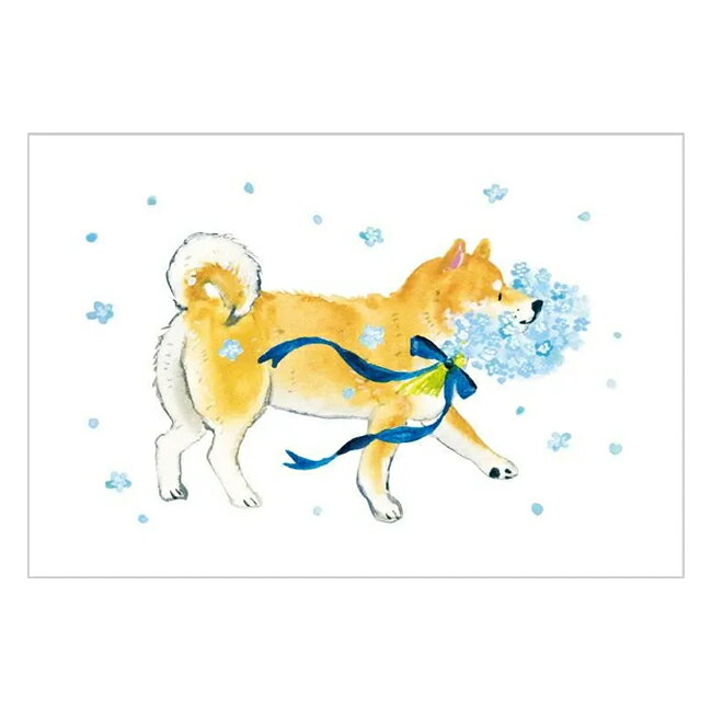 春柄入荷！ 村田夏佳さんが水彩で描く、人気のしばいぬシリーズです。 春の花でおめかししたり、おいしそうな和菓子に大喜びしたりと、しばいぬたちのかわいい表情が楽しめるカードです。 ■カードサイズ：100×148mm ■1枚入り ◇メール便対応個数：最大30個村田夏佳 しばいぬ春柄ポストカード ネモフィラ