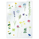 下敷き 押し花 フラワー A5サイズ SJ-2504 RYURYU M在庫-2 20個までメール便可能