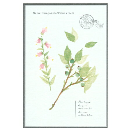 The ʸ˼Ʋ㤨֥ݥȥ ѥ˥ 1 VP-14 RYURYU 30ޤǥ᡼زǽ M߸-2-C2פβǤʤ165ߤˤʤޤ