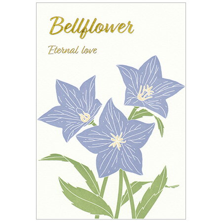 活版印刷ポストカード キキョウ 1枚入 PC-16359 ※30個までメール便可能 ClothesPin M在庫-2-C2