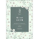 日比谷花壇 花ことばはがき箋 マーガレット 8枚入 S4751 ※20冊までメール便可能 ダイゴー M在庫-2-D4