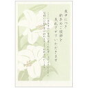喪中はがき(文字入り) 百合 5枚入り MC002 古川紙工 30個までメール便可能 M在庫-2-C2