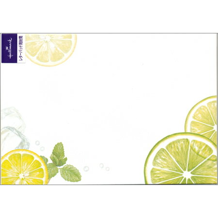 封筒 シトラスアンドハーブ 2柄4枚 EEE-759-674 Hallmark 12冊までメール便可能 M在庫-2-D2