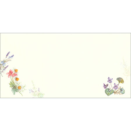 封筒 ハーブ 4枚入 4506902 NB 9冊までメール便可能 M在庫-2-D1