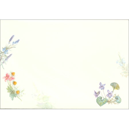 封筒 モーメント ハーブ 5枚入 4586902 NB 10冊までメール便可能 M在庫-2-D1