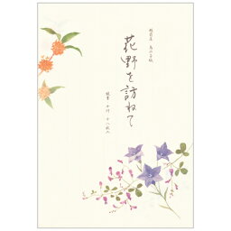 B5便箋 秋の花々 18枚入 5810220 ※5冊までネコポス便可能 NB M在庫-2-D1