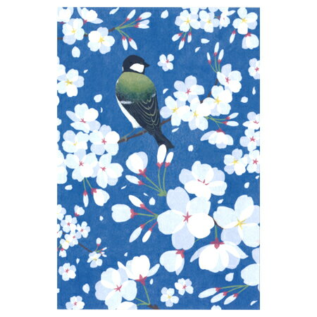 ݥȥ ȥ奦 1 001290 sotlight 30ޤǥ᡼زǽ M߸-2-C2