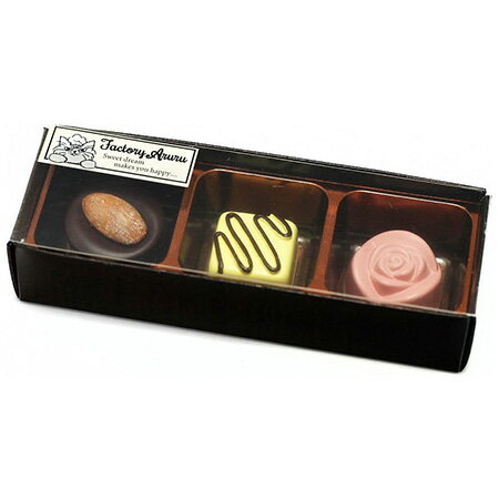 チョコレートマグネット3個セット C AR0810133 ※ネコポス便不可 アルタ M在庫-2-E4