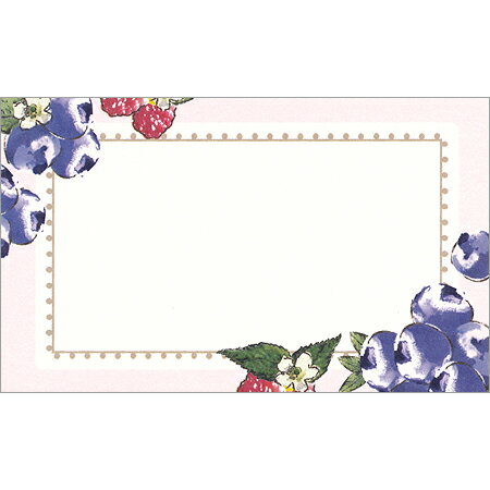 サニーフルーツミニカード ベリー 90×55mm 10枚 SUMC01-BE ※27個までネコポス便可能 LABCLIP M在庫-2-C1