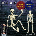 ガイコツ 置物 ドクロ ストラップ付 吊り下げドクロ スカル オブジェ 骸骨 SKULL 40cm ハロウィン パーティグッズ リアルドクロ ドクロ インテリア