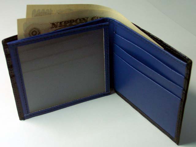 ���ò����ܳ׻�������ۡڥ��ڥ���ľ͢���ʡ�ANA CAMARGO�������ʡ����ޥ르