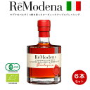 オーガニックアップルバルサミコ 100ml × 6本 レモデナ ReModena オーガニック バルサミコ酢 アップルドレッシング ドリンク　