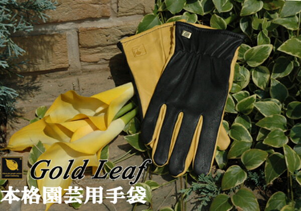 ガーデングローブ ガーデニンググローブ おしゃれ 園芸手袋 ショート ジャイコ GoldLeaf ドライタッチ