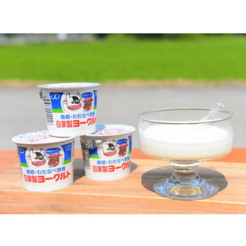 ヨーグルト 100g×12個 自家製ヨーグルト (有限会社 わたなべ牧場)| ヨーグルト 自家製 手作り 乳製品