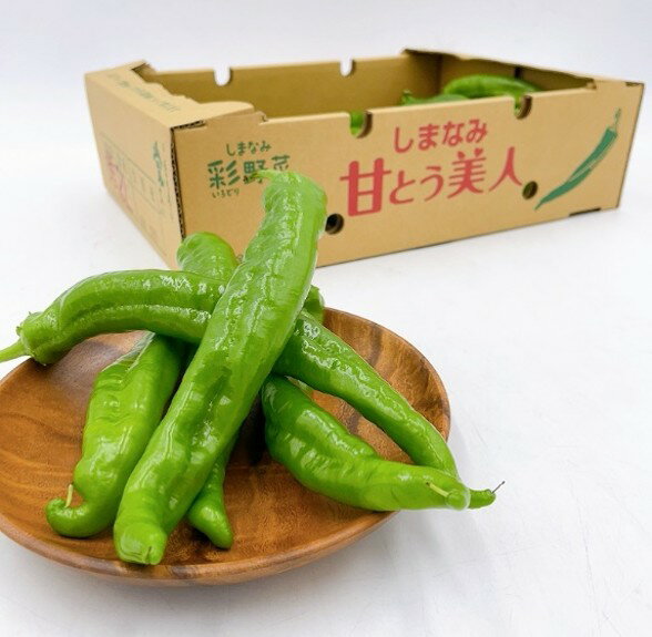 ڴָ۰ɲ ŤȤ 1kg | ȥ饷 ɲ