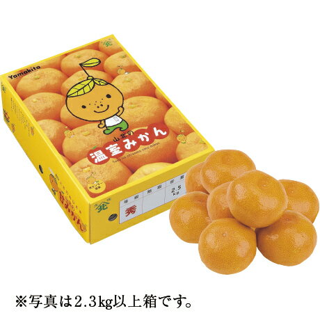 山北ハウスミカン L・2.3kg以上 高知県産(JA高知県)