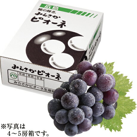 「瞳の輝き」みらさかピオーネ 370g以上×2房 広島県産（みらさかピオーネ生産組合）