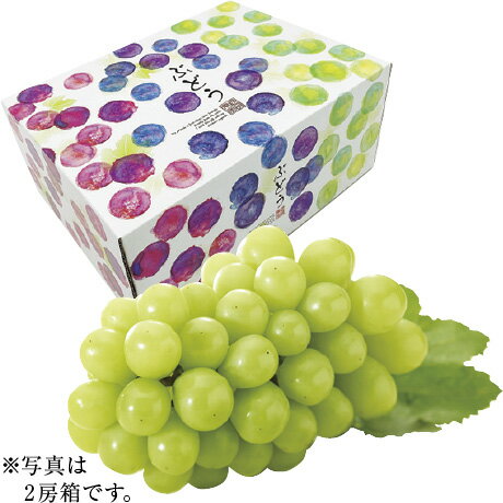 シャインマスカット 700g×1房 愛媛県産（JA愛媛たいき）