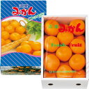 ハウスみかん S・1.1kg 愛媛県産(JAえひめ中央)(4)