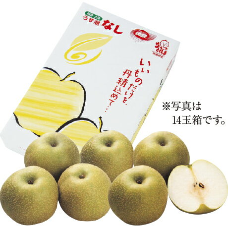 幸水梨 14玉 徳島県産(JA大津松茂)