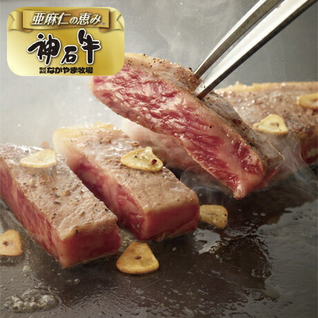 お歳暮 冬ギフト 年末 冬の贈り物 ギフト 贈り物 贈答品 プレゼント 詰め合わせ　送料無料 お歳暮 御歳暮 ギフト 贈り物 贈答 プレゼント ソーシャルギフト｜なかやま牧場 神石牛（亜麻仁の恵み）焼肉セット（もも・バラ）