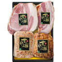 送料無料 お歳暮 御歳暮 ギフト 贈り物 贈答 プレゼント ソーシャルギフト|愛媛県産 愛媛甘とろ豚ハム詰合せ AM-502
