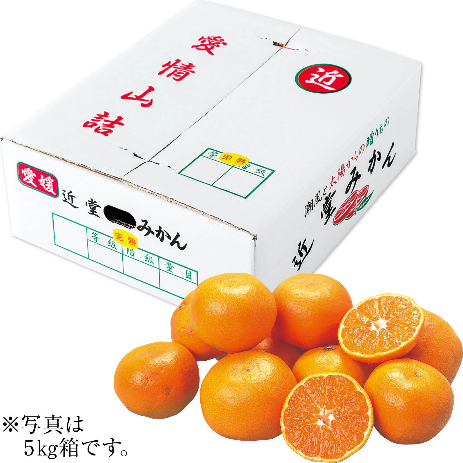 送料無料 お歳暮 御歳暮 ギフト 贈り物 贈答 プレゼント ソーシャルギフト｜愛媛県八幡浜市産（近堂 ...