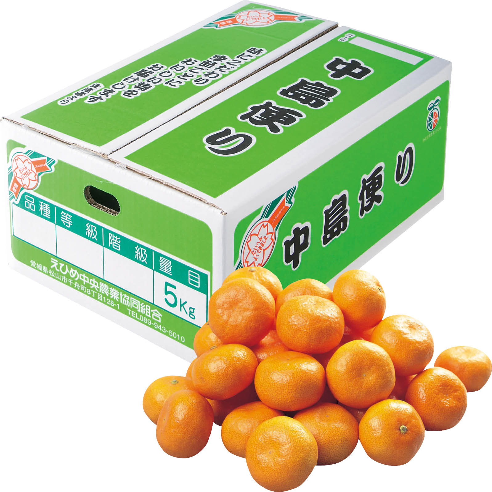 送料無料 お歳暮 御歳暮 ギフト 贈り物 贈答 プレゼント ソーシャルギフト｜愛媛県産（JAえひめ中央中島共選） 中島みかん（中島便り） S〜L・5kg(4)