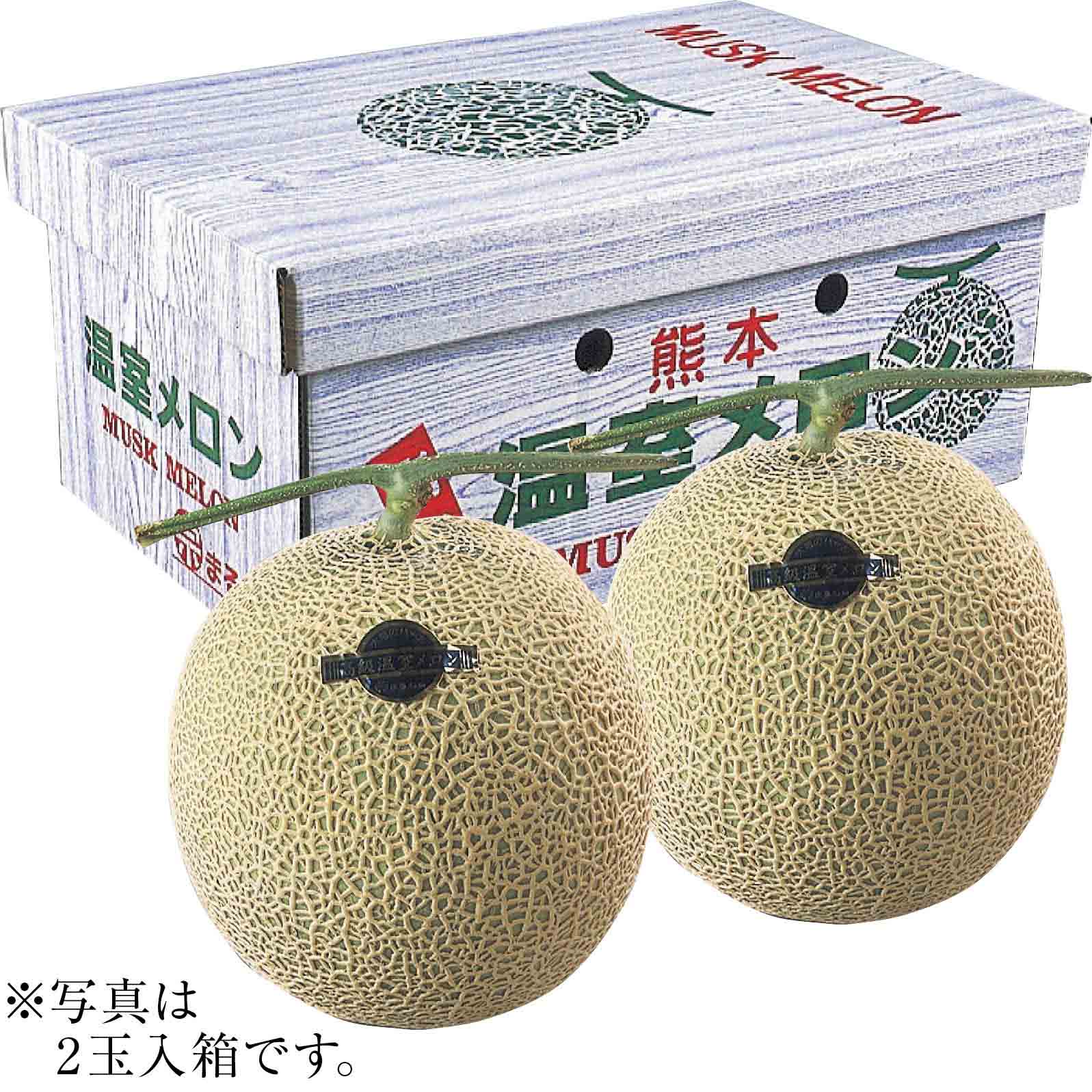 送料無料 お歳暮 御歳暮 ギフト 贈り物 贈答 プレゼント ソーシャルギフト｜熊本県産 アールスメロン 2玉