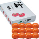 送料無料 お歳暮 御歳暮 ギフト 贈り物 贈答 プレゼント ソーシャルギフト|愛媛県産(JA周桑) 横野柿 12個