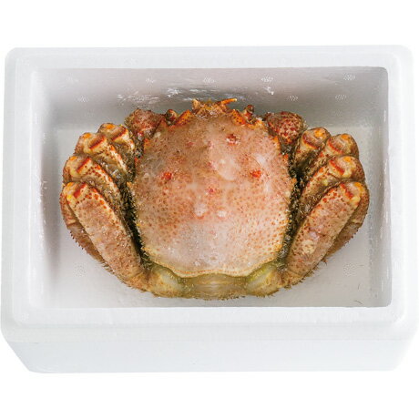 ※写真はすべてイメージです。実際の商品は写真とは多少異なる場合がございます。北海道の代表毛がにを、身入・ミソともに抜群の一品をお届けします。【内容】北海道産ボイル毛がに550g×1尾【賞味期間・消費期限】2026年3月31日迄【配送業者】ヤ...