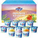 送料無料 お歳暮 御歳暮 ギフト 贈り物 贈答 プレゼント ソーシャルギフト|ブルーシール ブルーシールギフト12 bs-503428