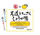 樋口製菓 尾道はっさくしょうが湯 16g×5袋 まとめ買い(×20)|4902689130022(tc)(011020)