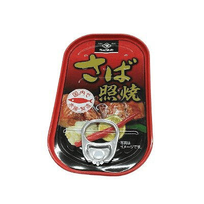 田原缶詰 さば照焼き 100g まとめ買い(×10)|4902056032737(tc)(011020)