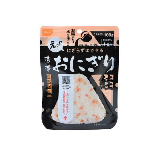 尾西食品 携帯おにぎり 鮭 42g まとめ買い(×15)|4970088140393(tc)(012956) 尾西食品 携帯おにぎり 鮭 42g まとめ買い(×15)|4970088140393(tc)(012956)