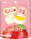 カバヤ ピュアラルグミ りんご 58g まとめ買い(×8)|4901550269403(tc)(049840)(4)