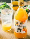 マルカン 愛媛 温州みかん酢 500ml まとめ買い(×12本) | 4902711223111 Fuji フジ(n)