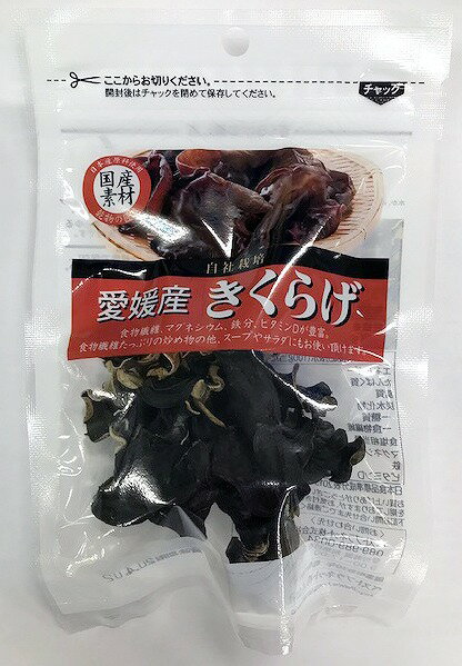 ベストプラネット　匠庵　愛媛産きくらげ 10g　まとめ買い（×10）(n)