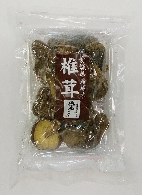 ベストプラネット　愛媛産原木栽培椎茸 30g　まとめ買い（×10）(n)