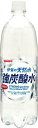 【2ケース販売】【送料込み】サンガリア 伊賀の天然水強炭酸水 1000ml まとめ買い(×24)|4902179019240(011907) | 1l 1L 炭酸 たんさん タンサン いが(n)