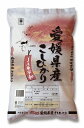 ひめライス JA東宇和 コシヒカリ(愛媛県産) 5kg ｜ 5kg 白米 米 こめ コメ 朝食 国産 美味しい お買い得(n)