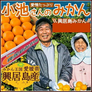 【予約販売：11月20日頃から順次発送予定】小池さんのみかん 贈答用 Mサイズ 5kg 愛媛県 興居島 | 産地直送 お歳暮 果物 みかん ミカン mikan 早生 わせ