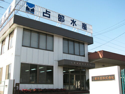 占部水産(株) 広島 かき カキ 牡蠣 冷凍 業務用 鮮魚 広島県産 冷凍かき2L(期日指定できません) the-fuji-10224765 フジネットショップ楽天市場店 サンプル画像3